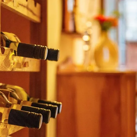 An Den Weinbergen Apartment Bingen am Rhein